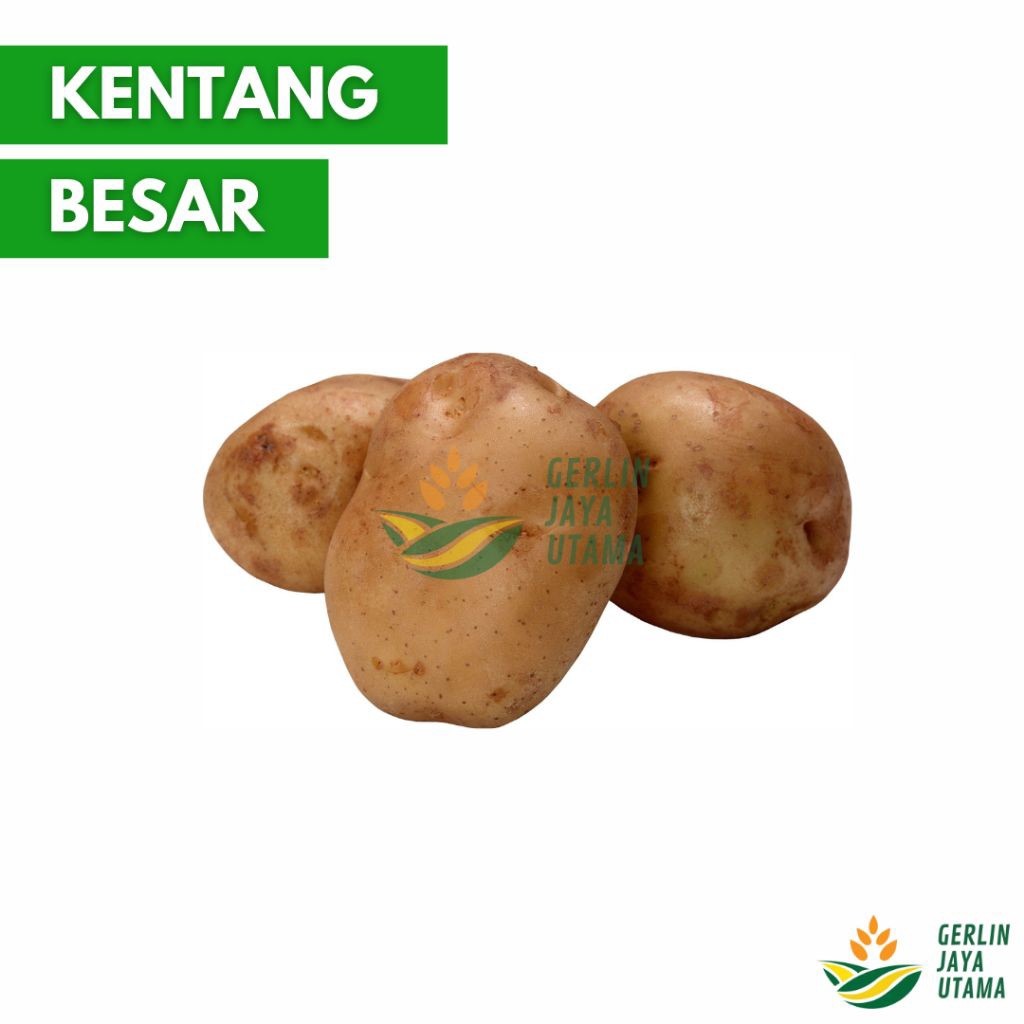 

(1Kg/500Gram) Kentang Probolinggo Ukuran Besar