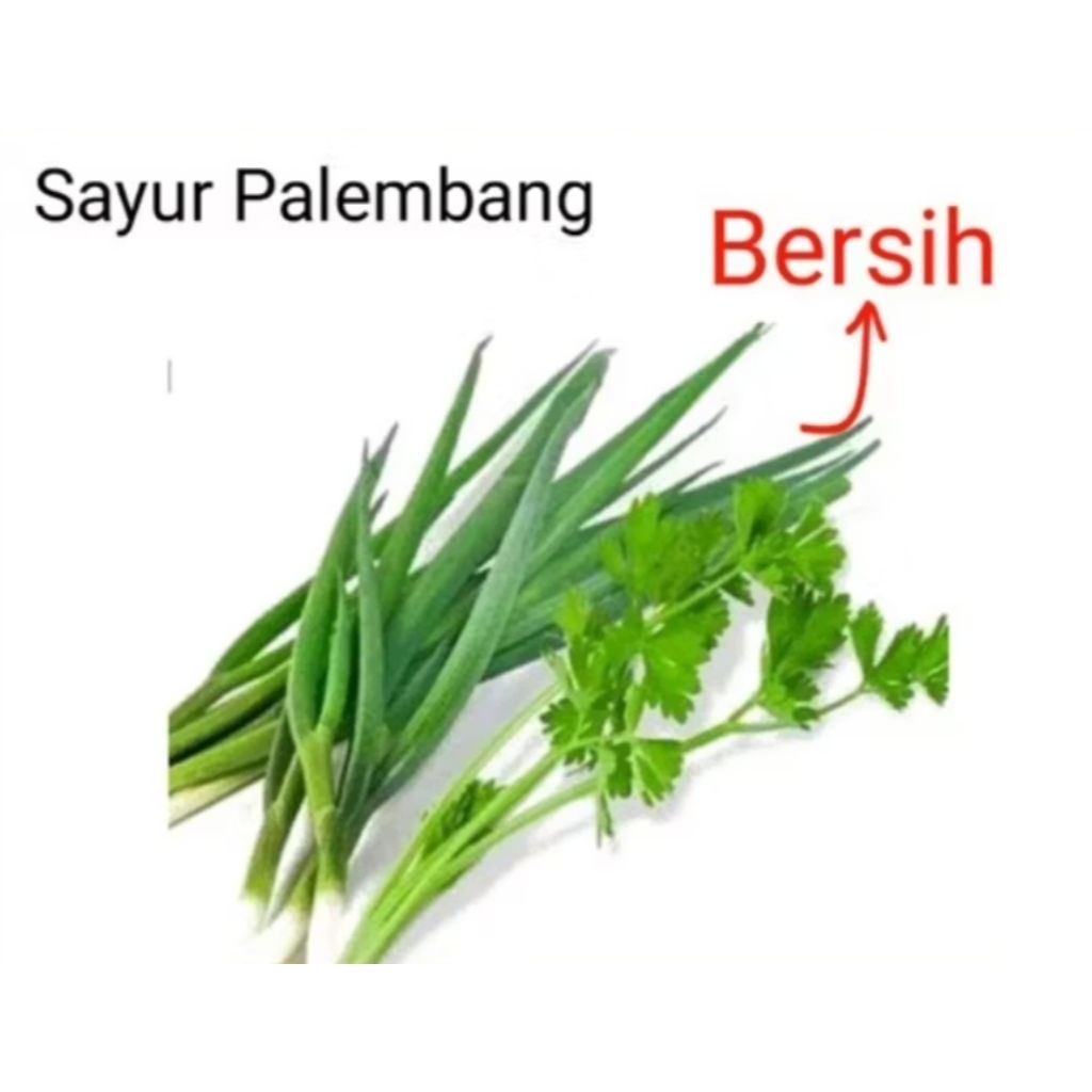 

DAUN SOP & BAWANG (CAMPUR) - Palembang