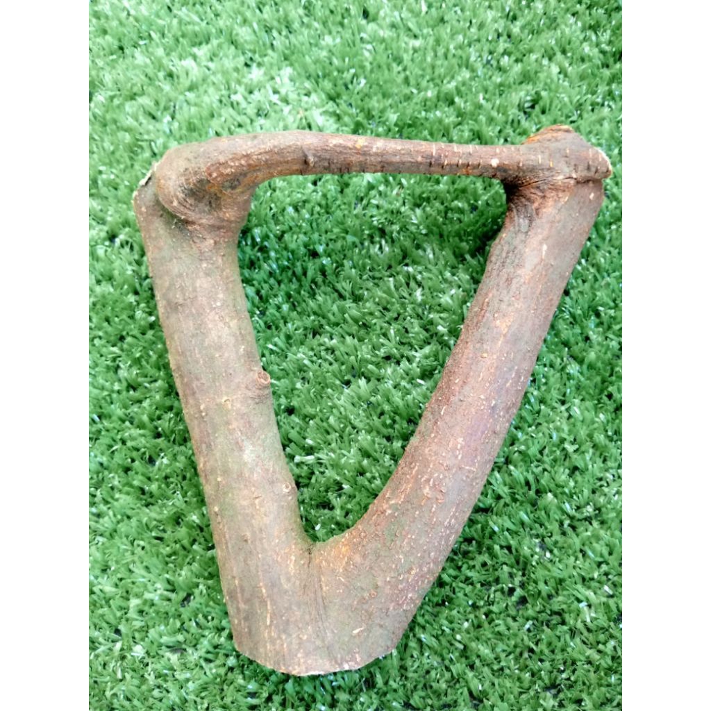 akar mimang asli alami unik