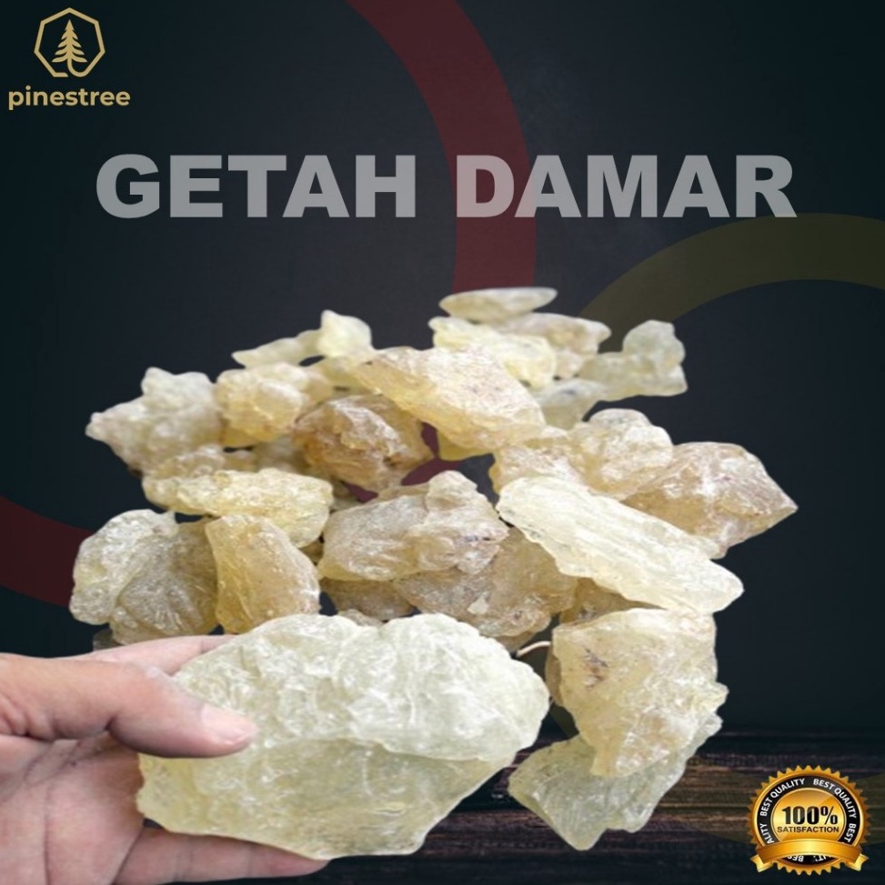 KODE R66X Getah Damar  Mata Kucing  Shora Jevanica  Mustaki  Gum Damar  Damar Kaca  5 gr