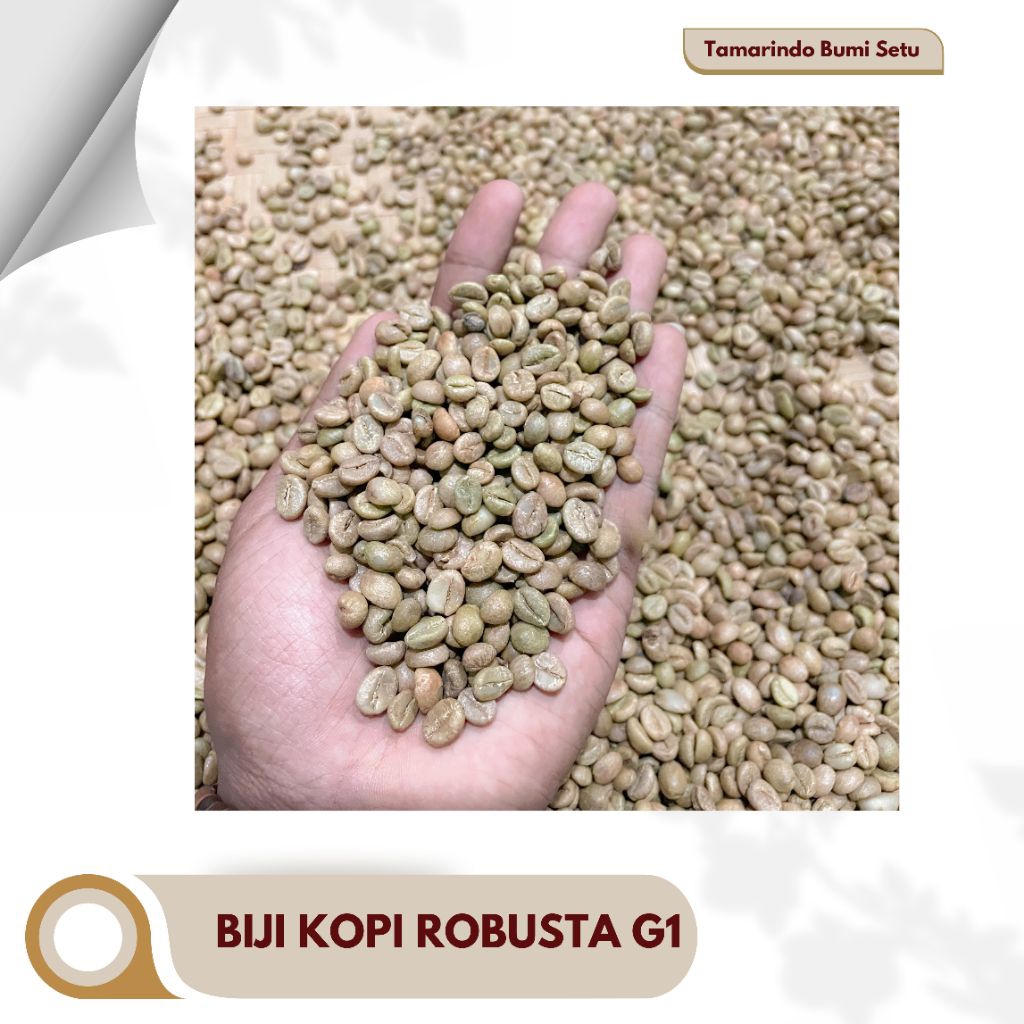 

Green Bean Biji Kopi Robusta Grade 1 | Natural Process | Wangi Spesial, Cocok untuk Roaster & Cafe