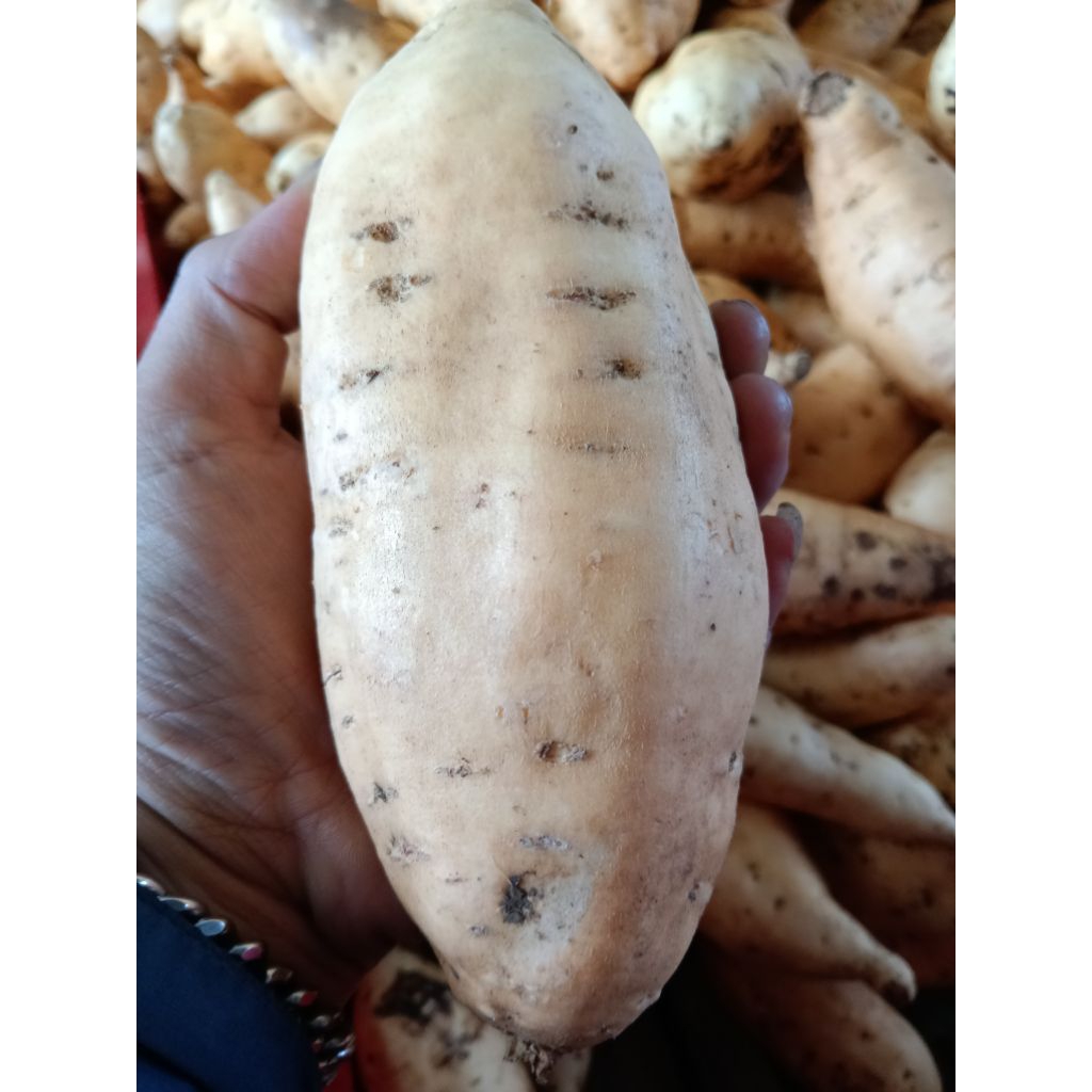 

honeysweetpotato,ubimaducilembuasli