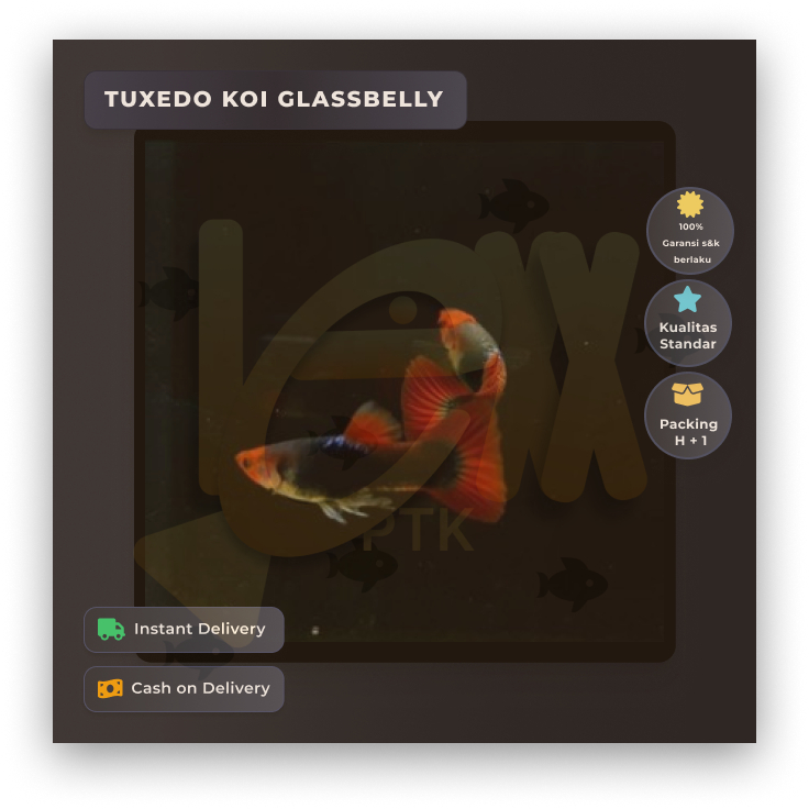 [INSTANT] pengiriman reguler wajib checkout packingan tambahan Hiasan aquarium Guppy tuxedo koi glas