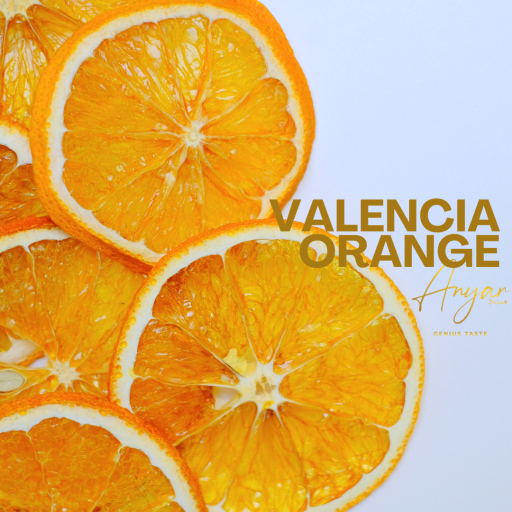 

Anyar Drink - Dried Orange Slice Premium 50gram - Buah Kering Slice - Fruit Orange - Jeruk Iris Kering - Valencia Orange