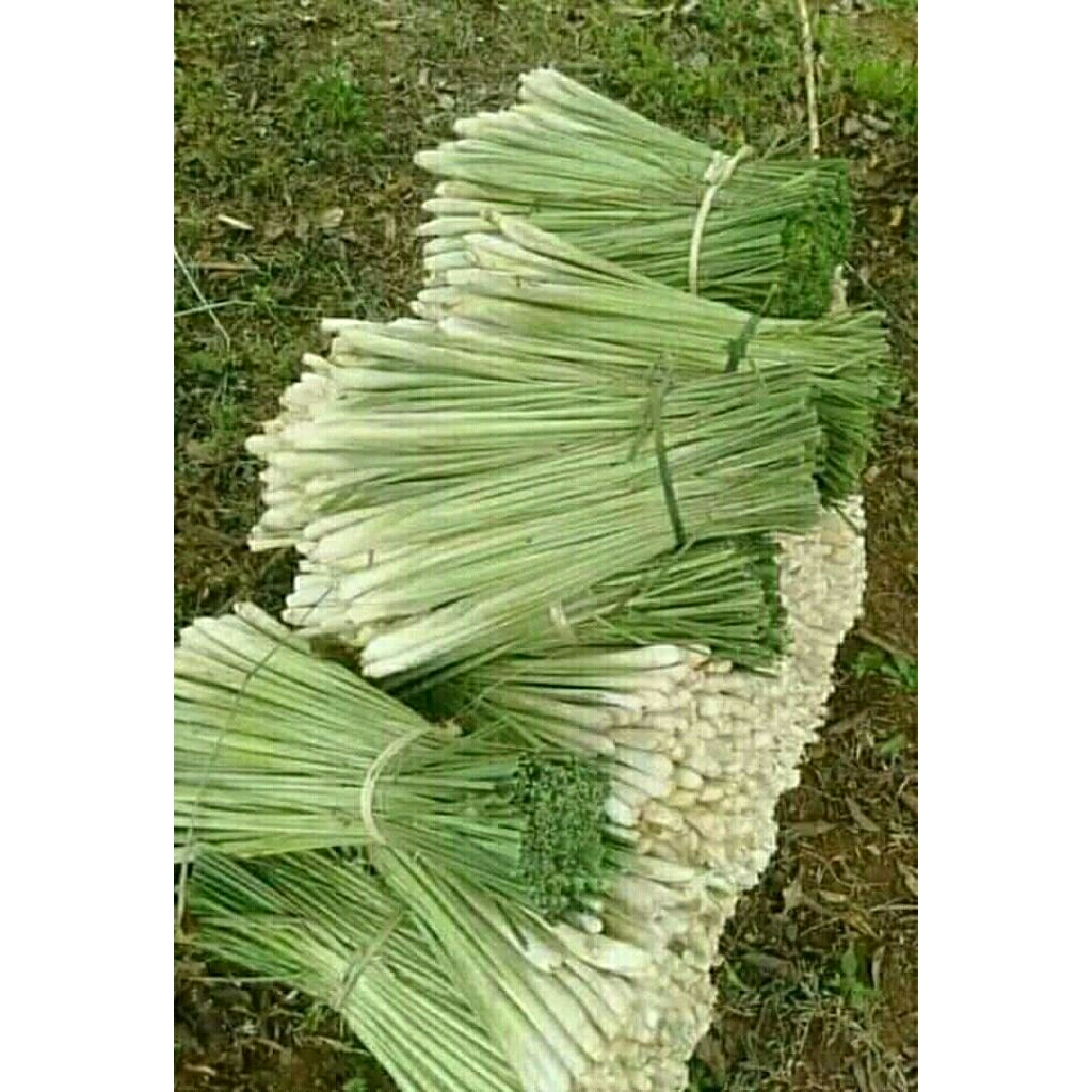 

Sere Sayur