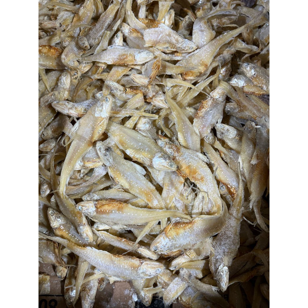 

Ikan Asin Bulu Ayam 500gr