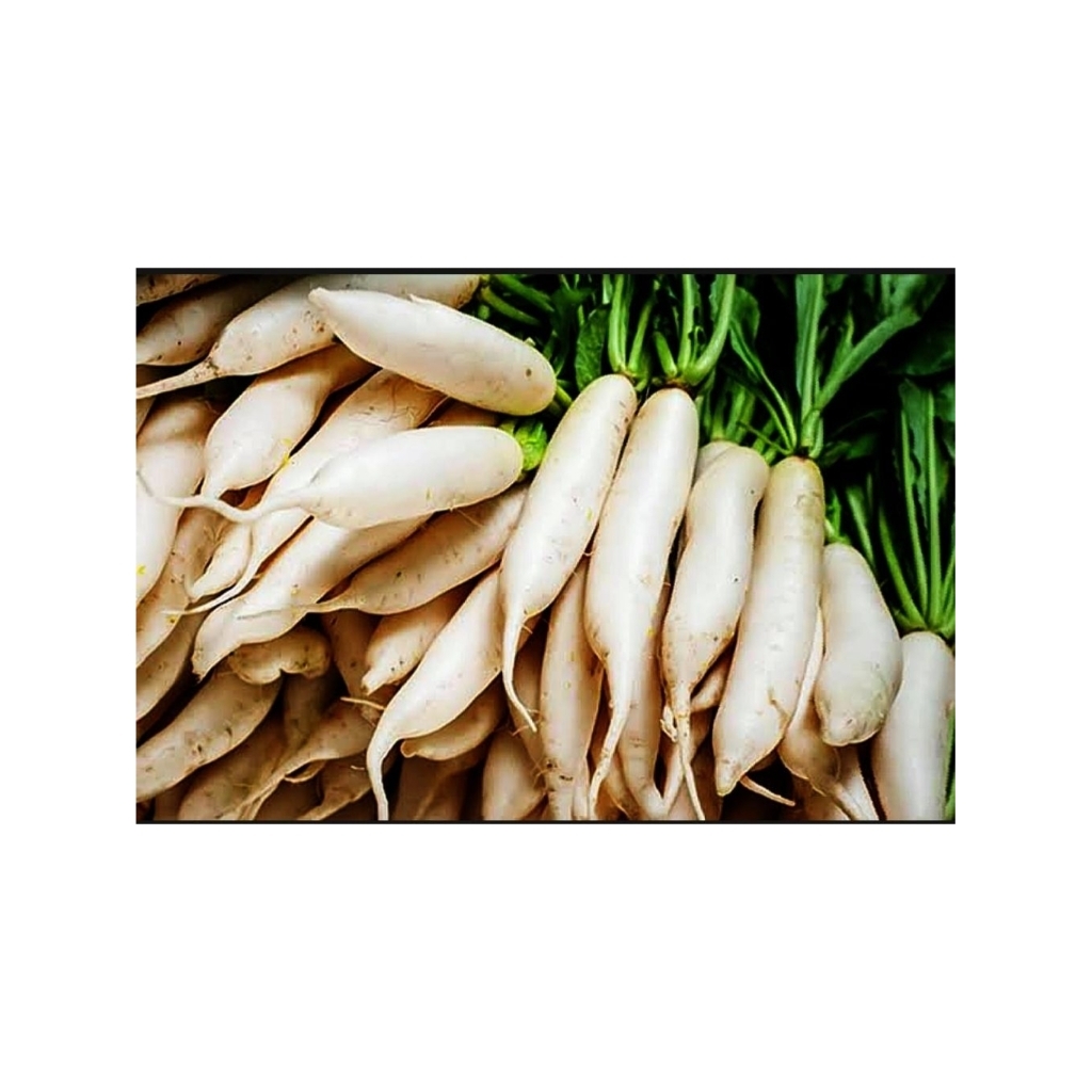 

1kg LOBAK PUTIH FRESS SEGEEERRRR