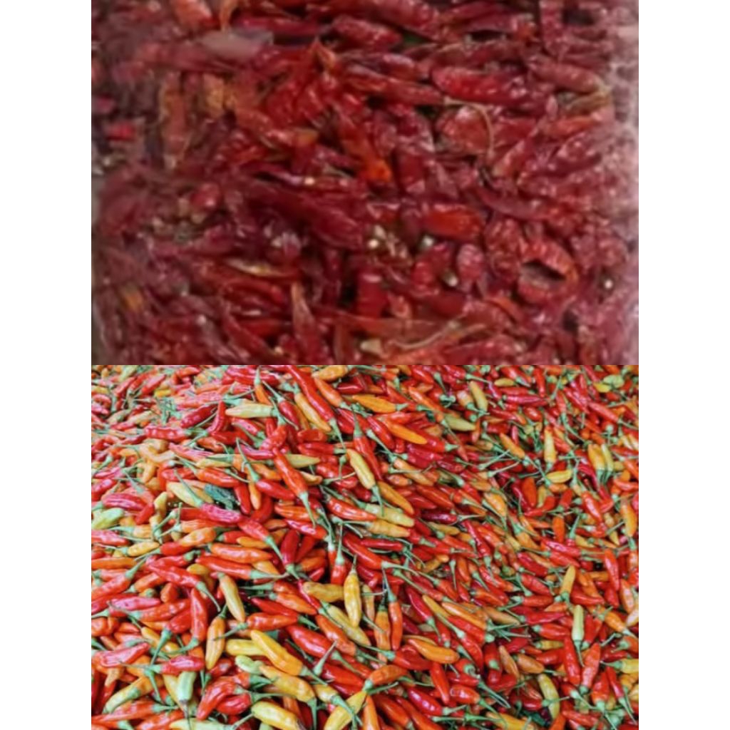

cabai kering 1 kg // cabai rawit merah kering 1 kg