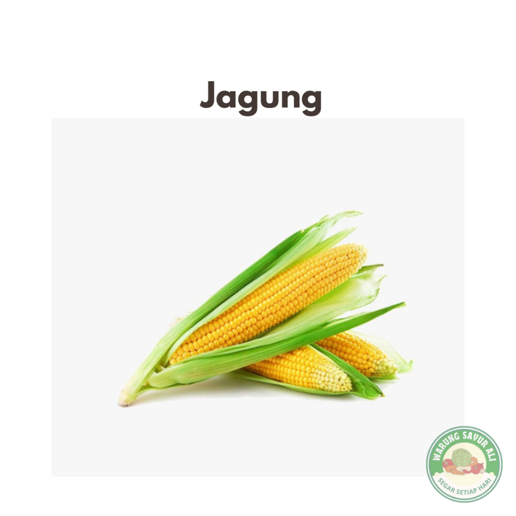 

(KIRIM INSTAN) Jagung / Jagung besar / Jagung segar
