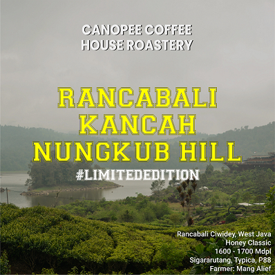 

Arabika "Rancabali Kancah Nungkub Hill Honey" - Limited Edition Series