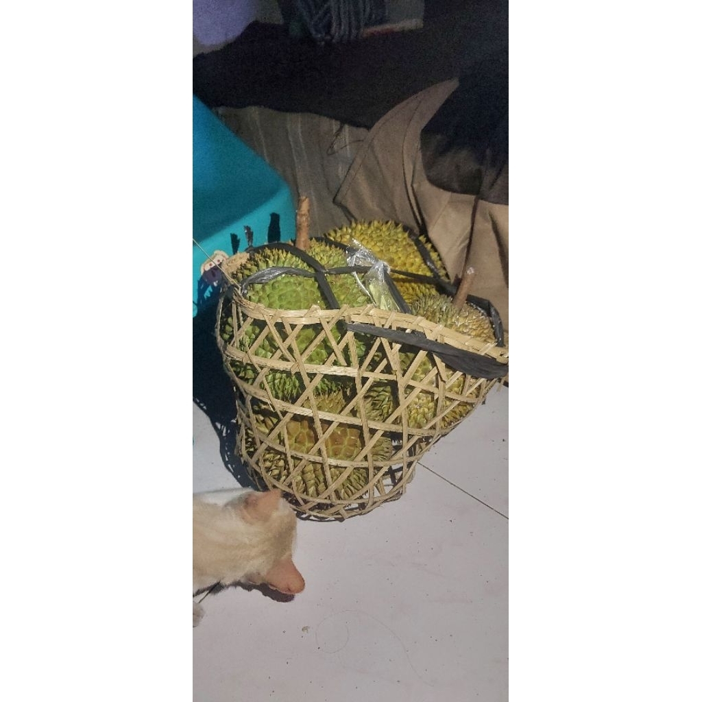 

Buah Durian Istimewa