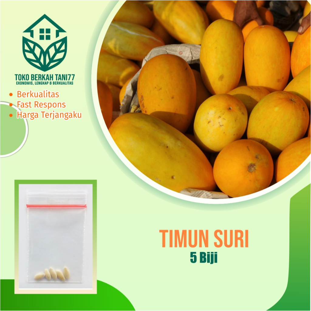 Benih Timun Suri Bibit Timun Suri Sayuran Timun Suri Benih Sayuran Berkualitas