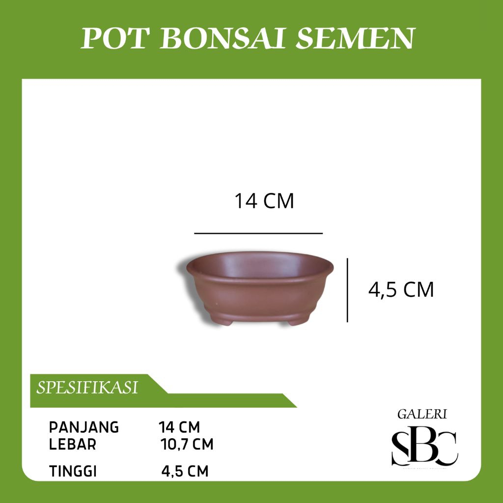 POT Bonsai Semen Minimalis (Mame)