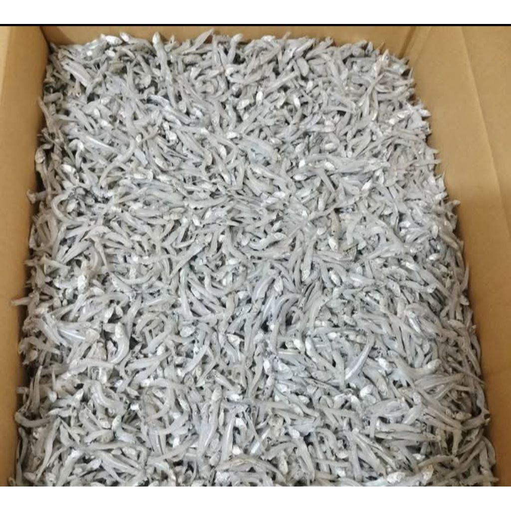 

Ikan Asin Teri Buntiau Khas Pulau Pasaran Lampung 1 KG