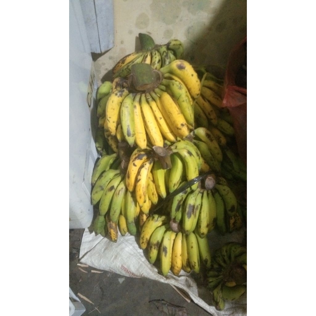 

pisang uli