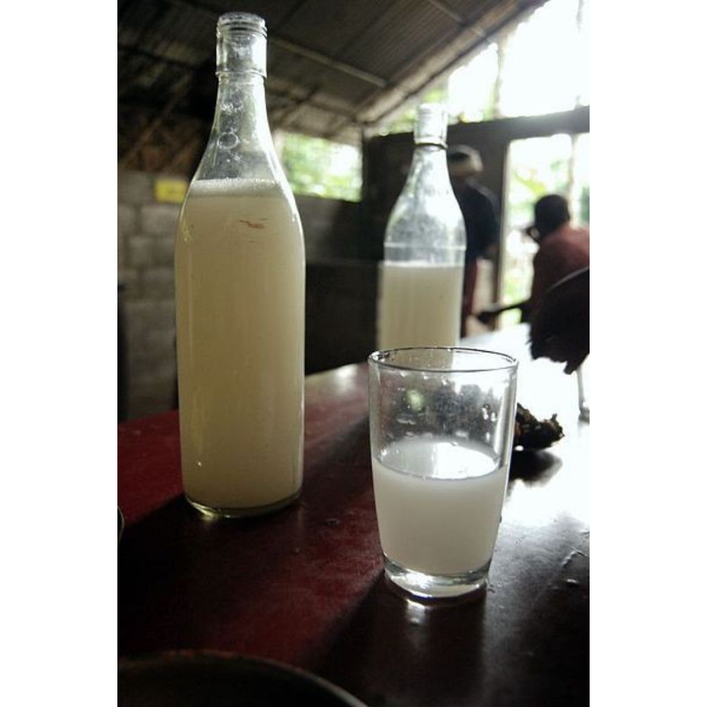 

AIR LEGEN/AIR POHON LONTAR