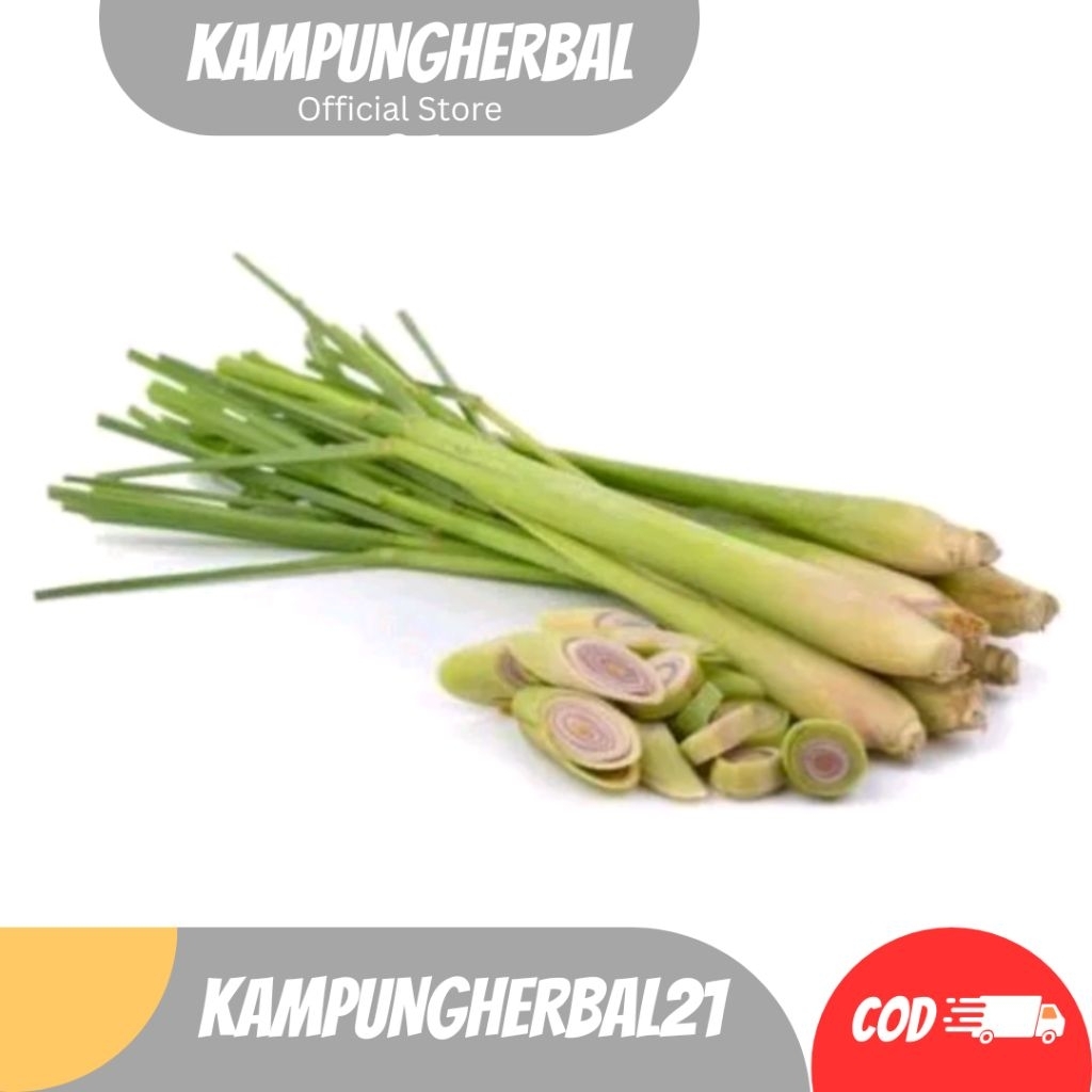 

SERAI, SEREH SEGAR BUMBU MASAK/ 100 GRAM dan bisa buat obat herbal alami murah COD