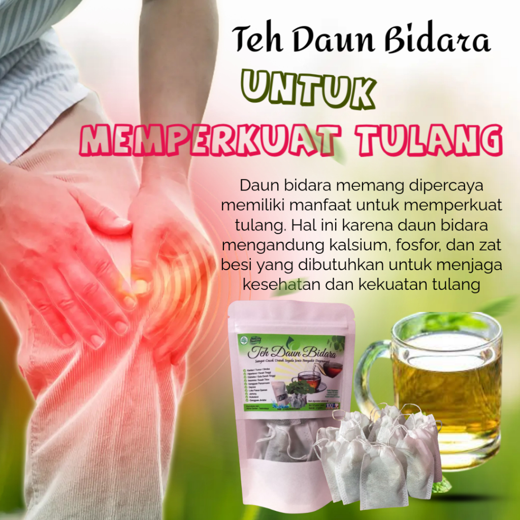 

Teh Daun Bidara untuk Memperkuat Tulang dan Gigi bagi orang dewasa dan lansia