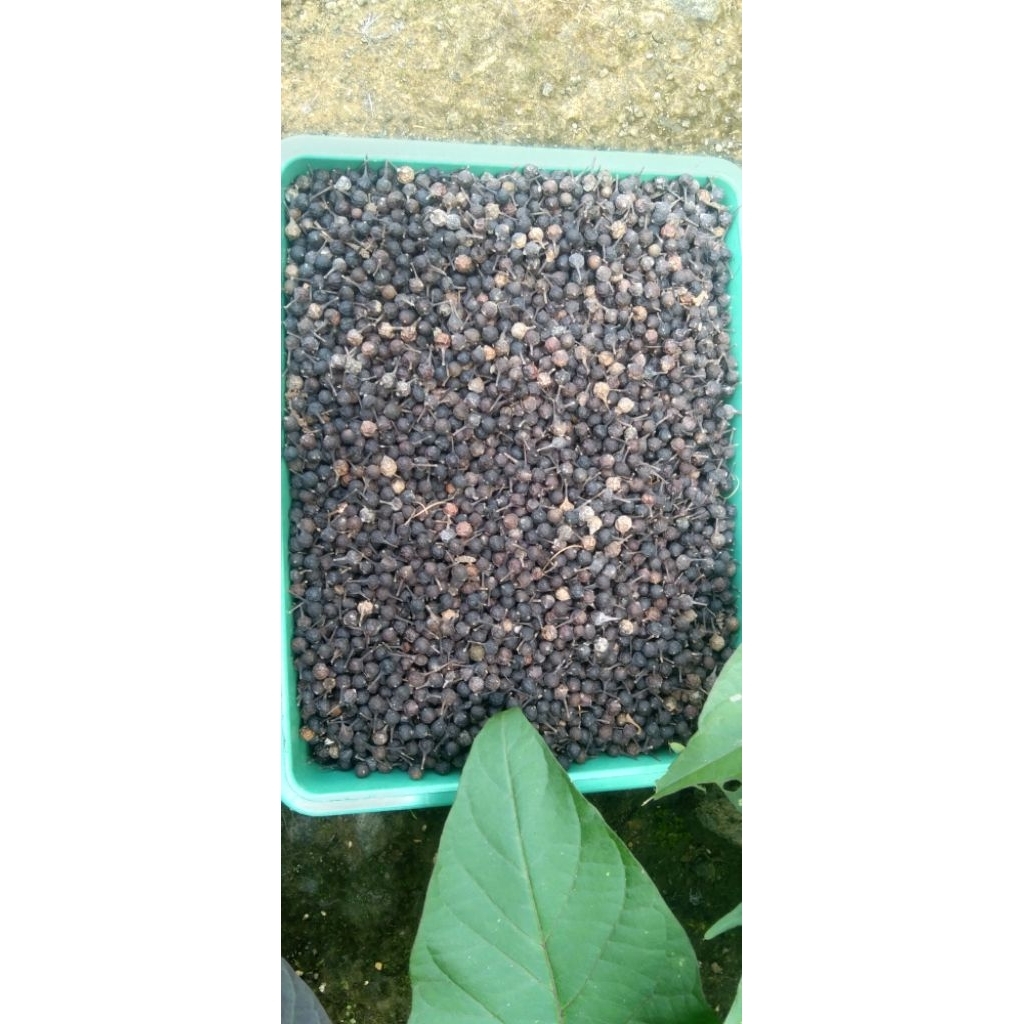 

Kemukus kering lokal 1 kg