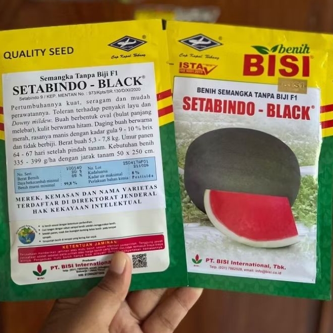 Benih Semangka Non Biji Setabindo Black 20g