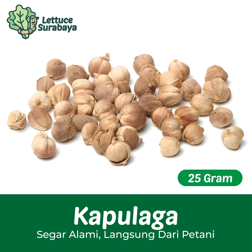 

Kapulaga Putih / Kapulaga Kering