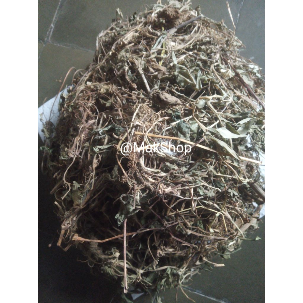 

Daun Pegagan Kering Asli 100 gram