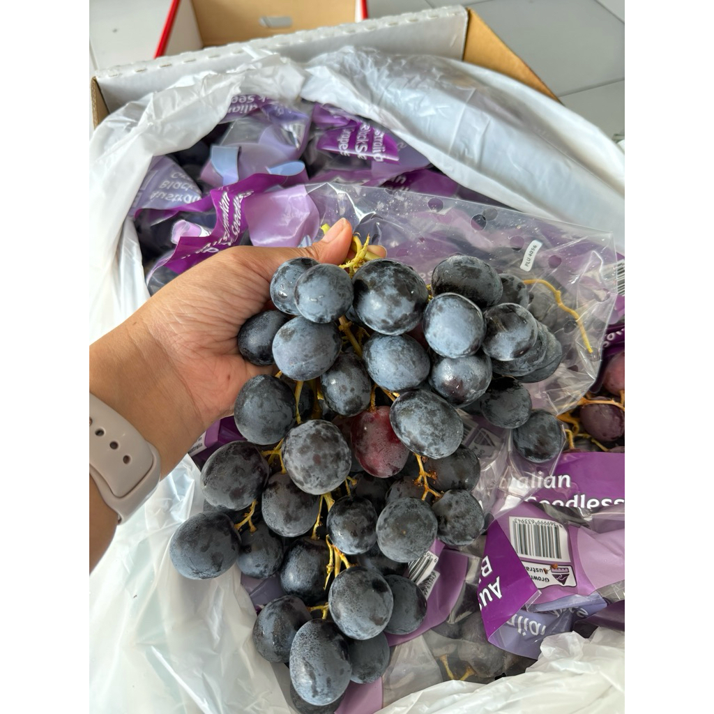 

Anggur Black Autumn Adora