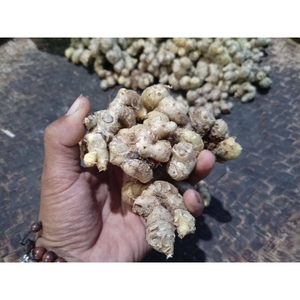 

Kunyit Hitam Asli Segar Fresh 100 gram