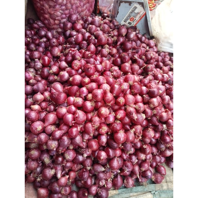 

Bawang merah Bima