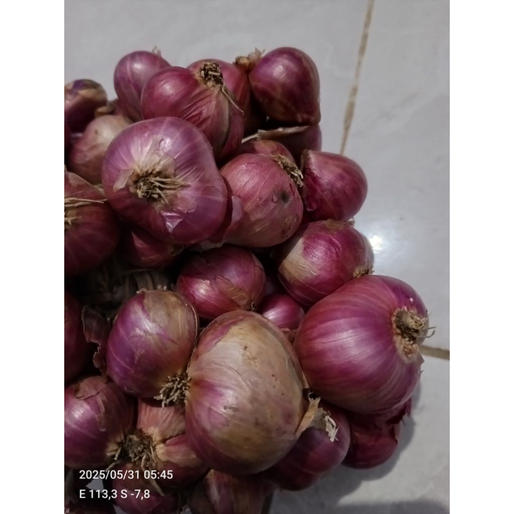 

Bawang Merah Probolinggo ukuran campur