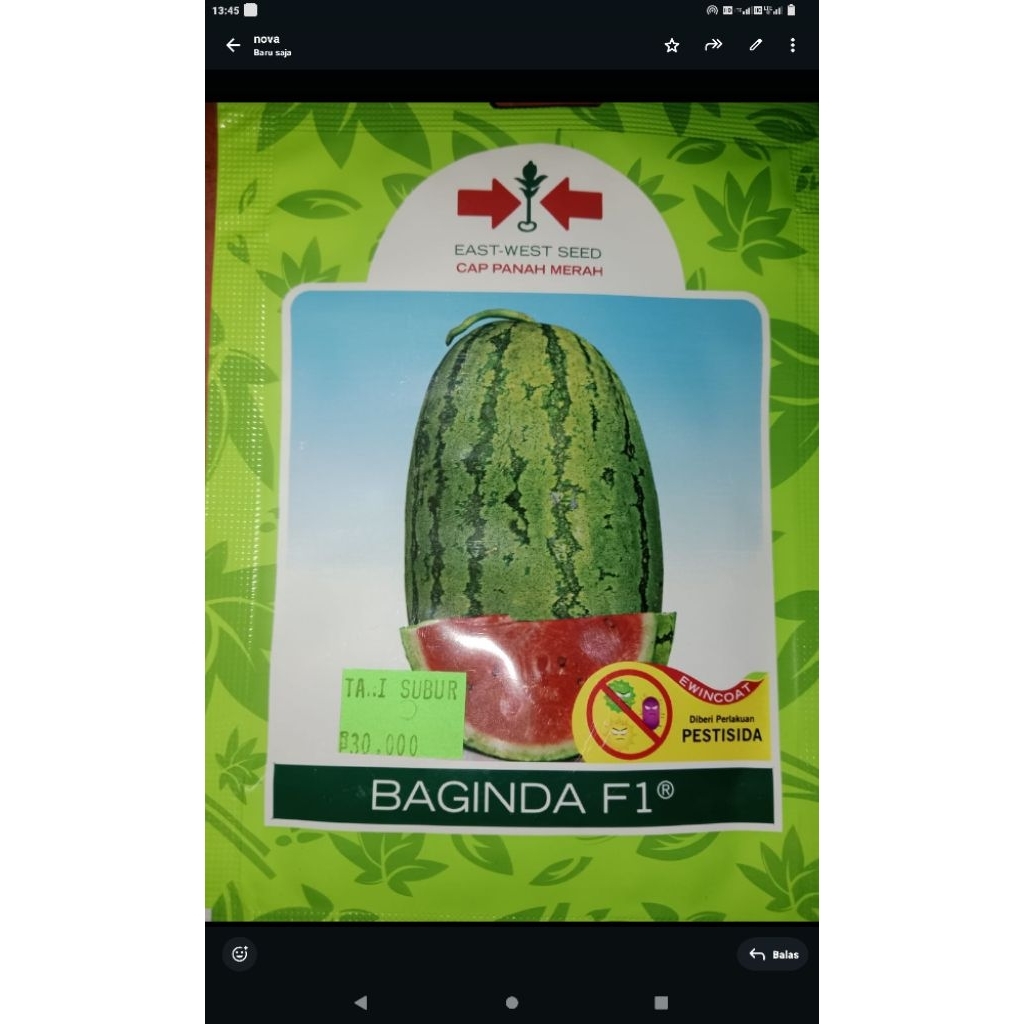 Cap Tanah Merah Baginda F1