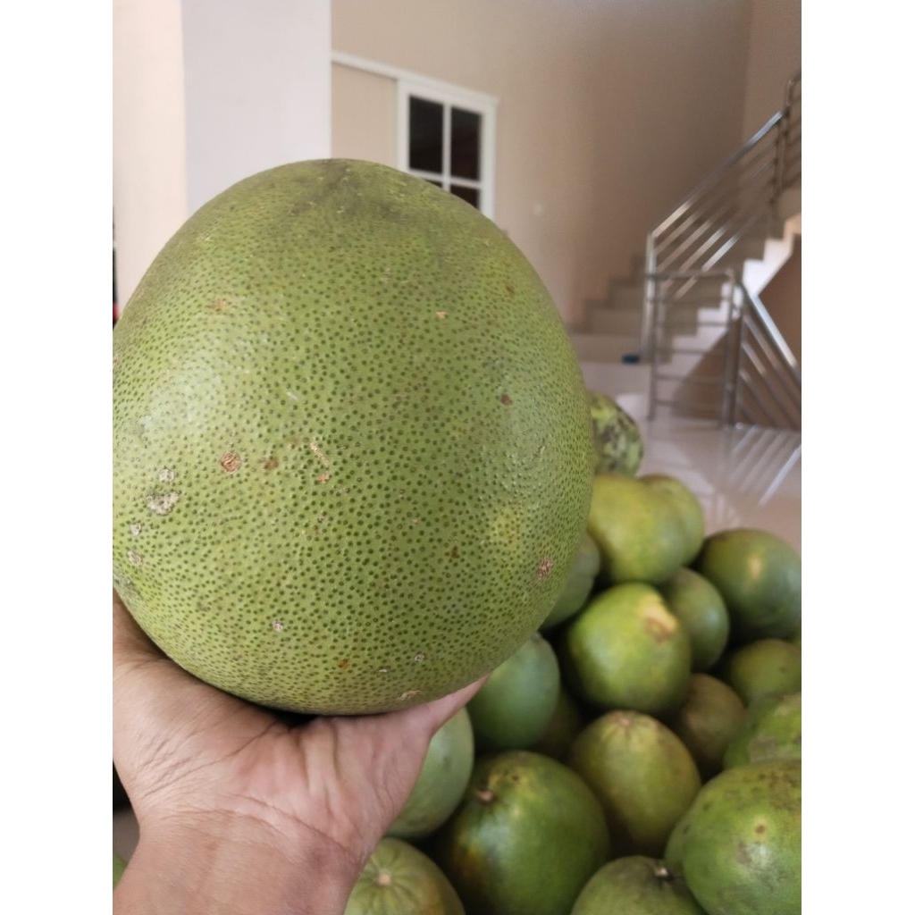 

paket grosir 100kg, berat request 1kg - 3kg premium