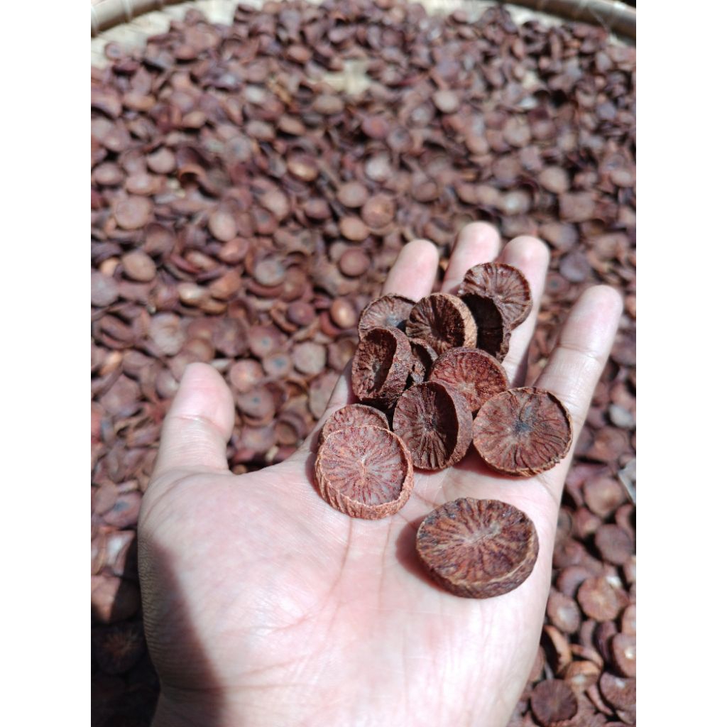 

Buah Pinang Iris Muda Segar Tanpa Kimia yang sangat banyak manfaatnya