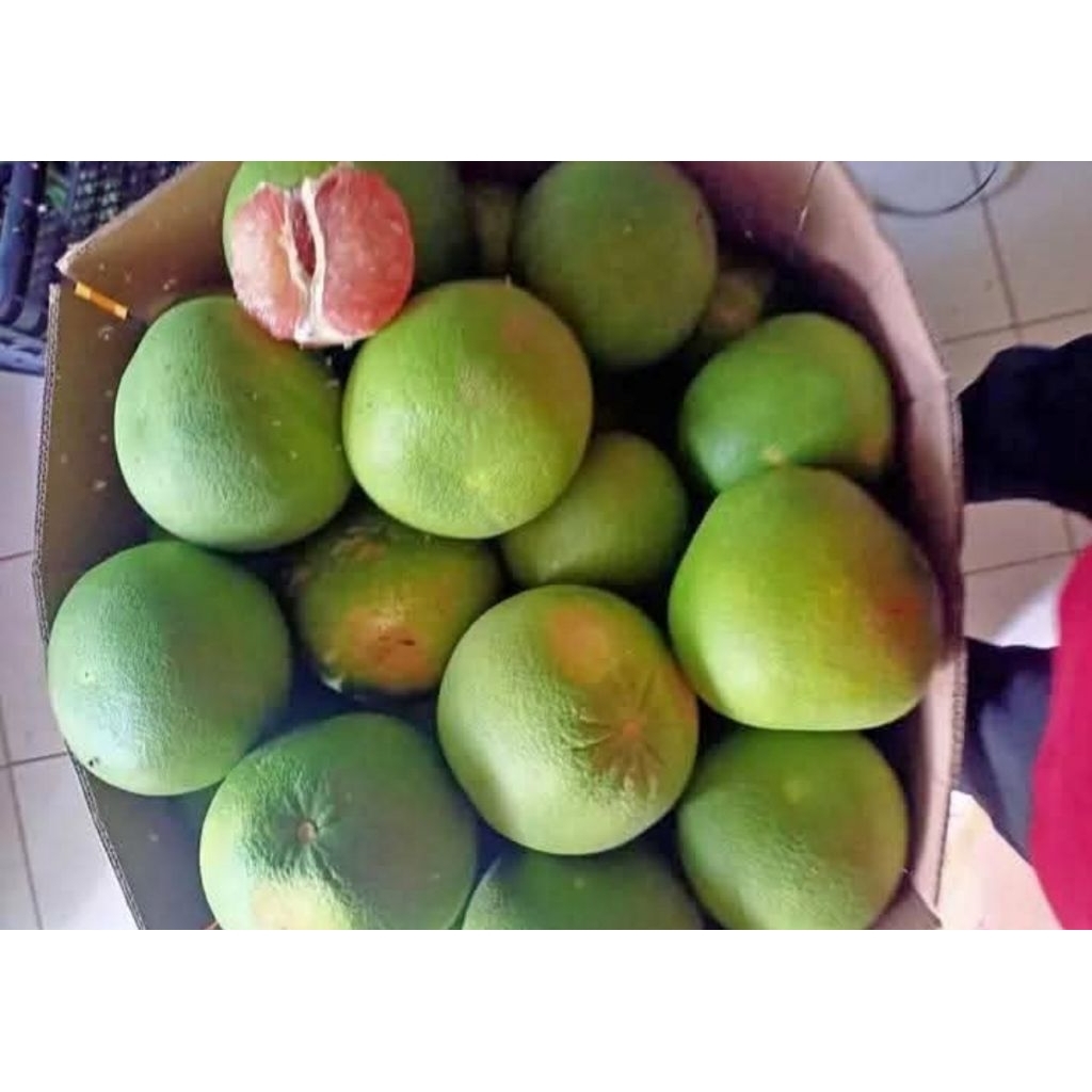 

jeruk pamelo madu muria tanpa biji berat 700-850 gram,rasa dijamin manis