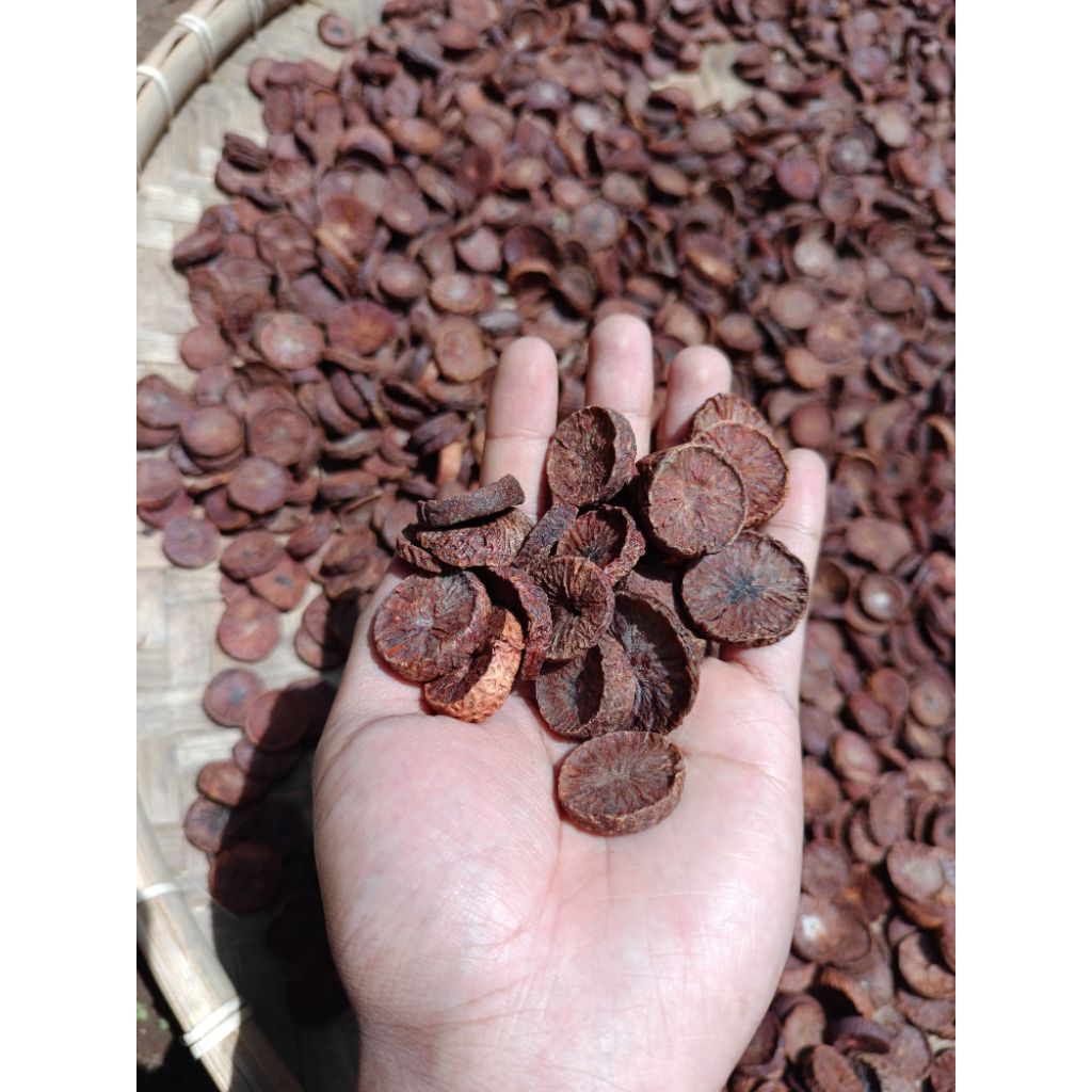 

Buah Pinang Muda iris Segar Tanpa Kimia yang sangat banyak manfaatnya