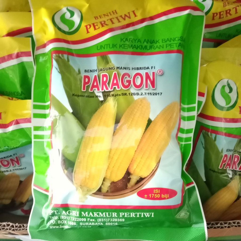 jagung paragon