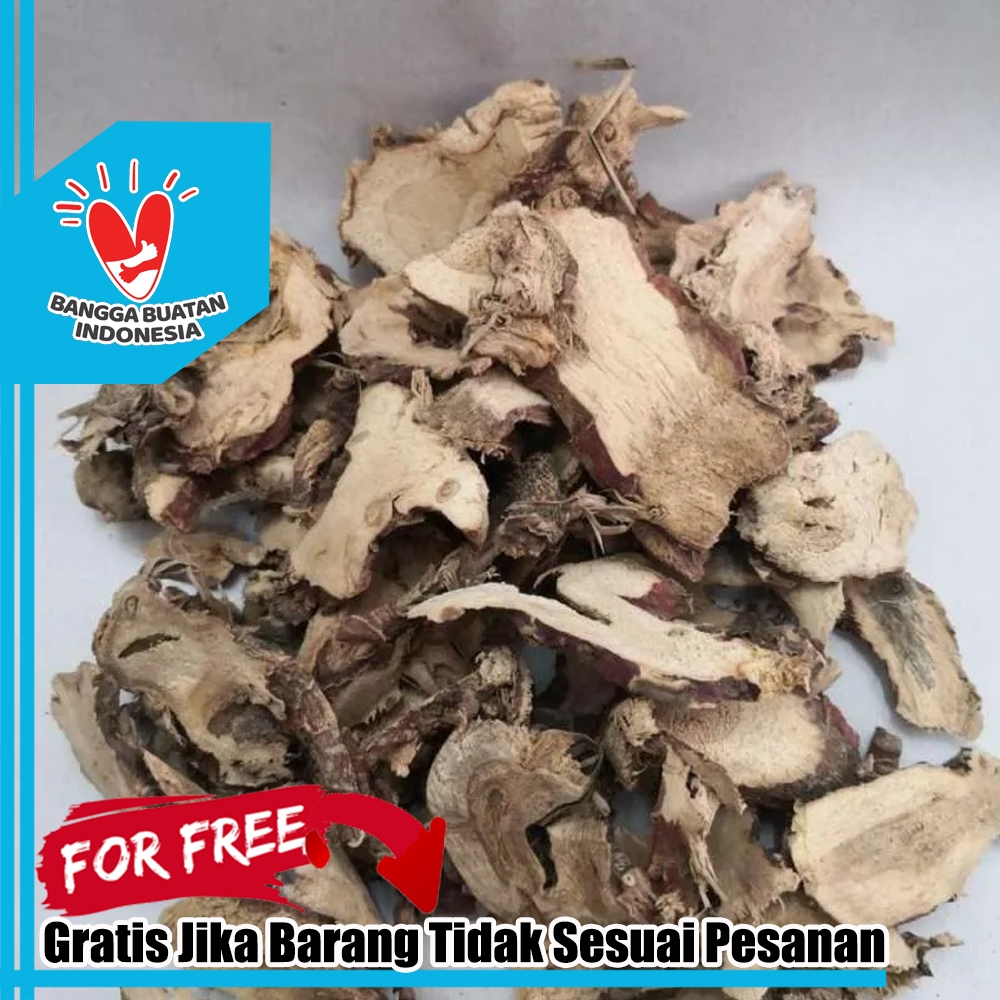 

LENGKUAS LAOS KERING 1 Kg PURE ORGANIK LENGKUAS REMPAH EMPON LAOS DJAMUE NUSANTARA