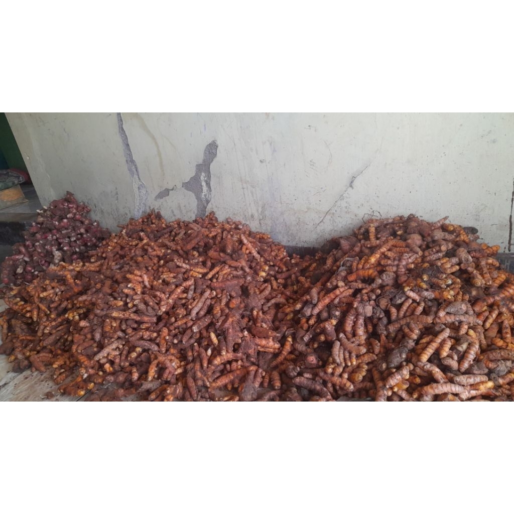 

kunyit/koneng abres Rp.5500/kg