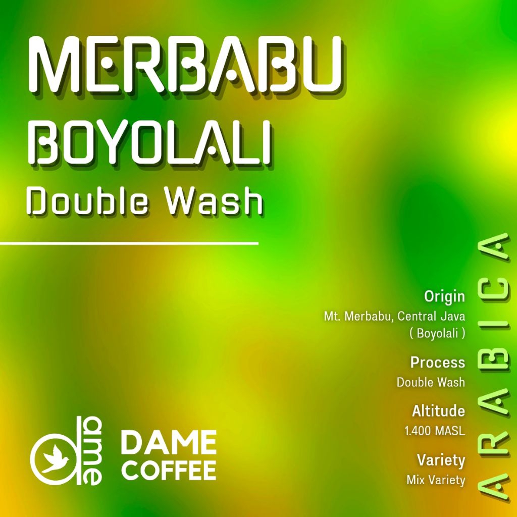 

Merbabu Double Wash Arabika Greenbean Kopi Mentah Dame Coffee