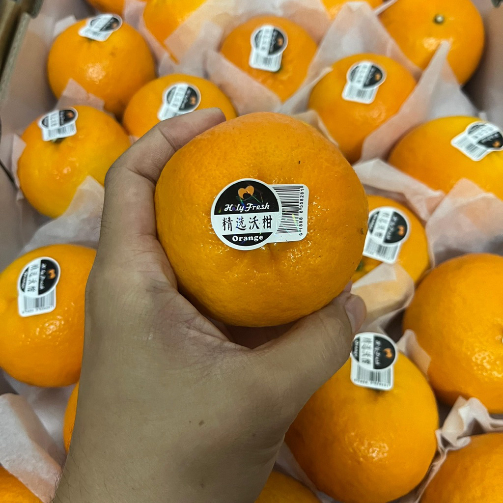 

JERUK WOKAM WOGAN HOLYFRESH | Besar Manis Buah Orange Fruit