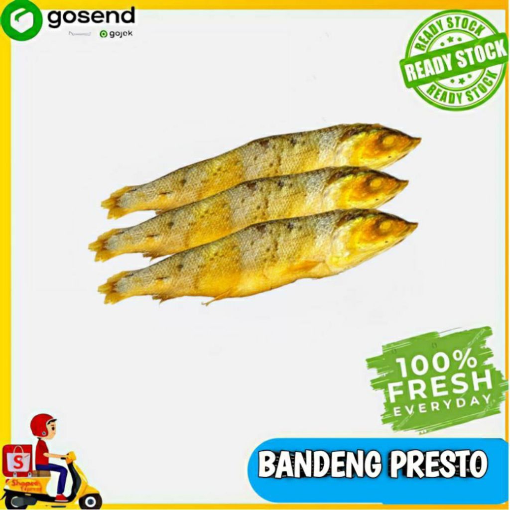 

IKAN BANDENG PRESTO
