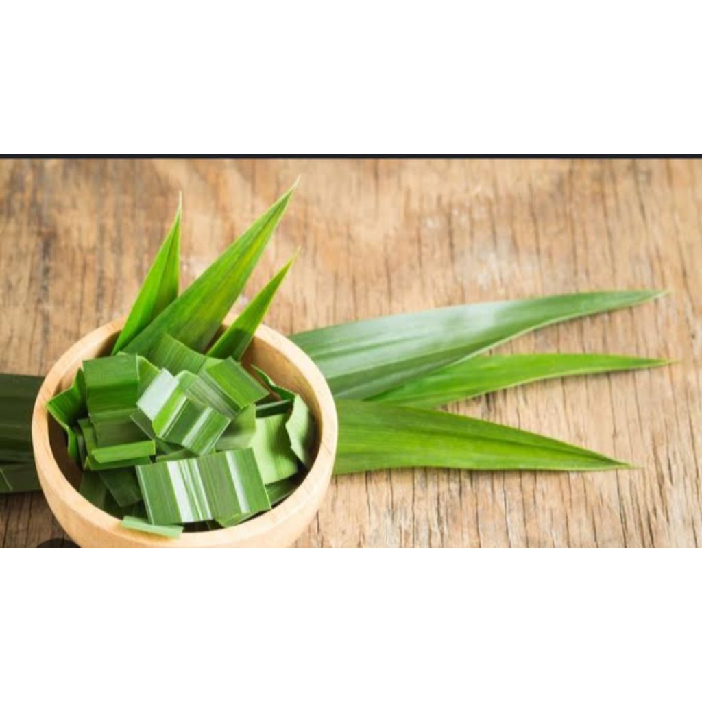 

Daun pandan segar 20 lembar/pandan wangi asli/bungkus bacang