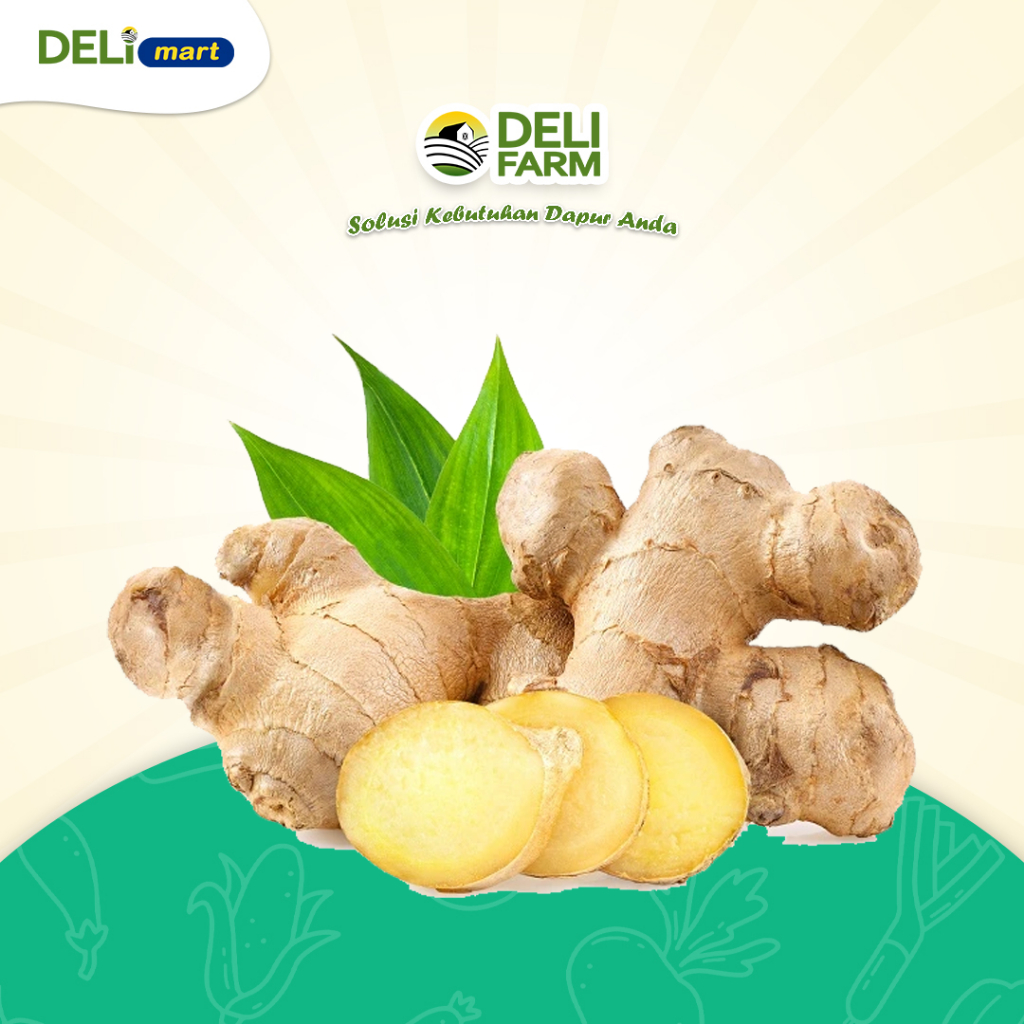 

Deli Mart [Khusus INSTAN Medan] Jahe segar by Deli Farm