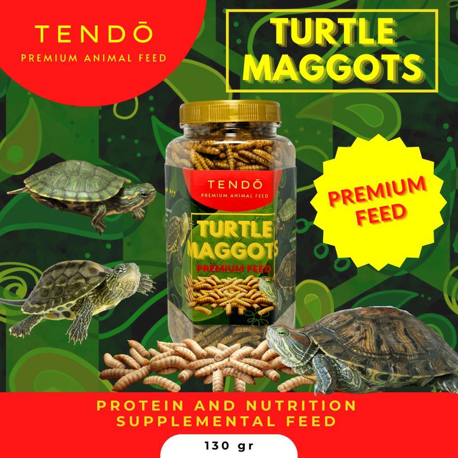 Makanan Kura Kura Brazil Dada Merah Ambon Maggot Kering untuk Kura Kura