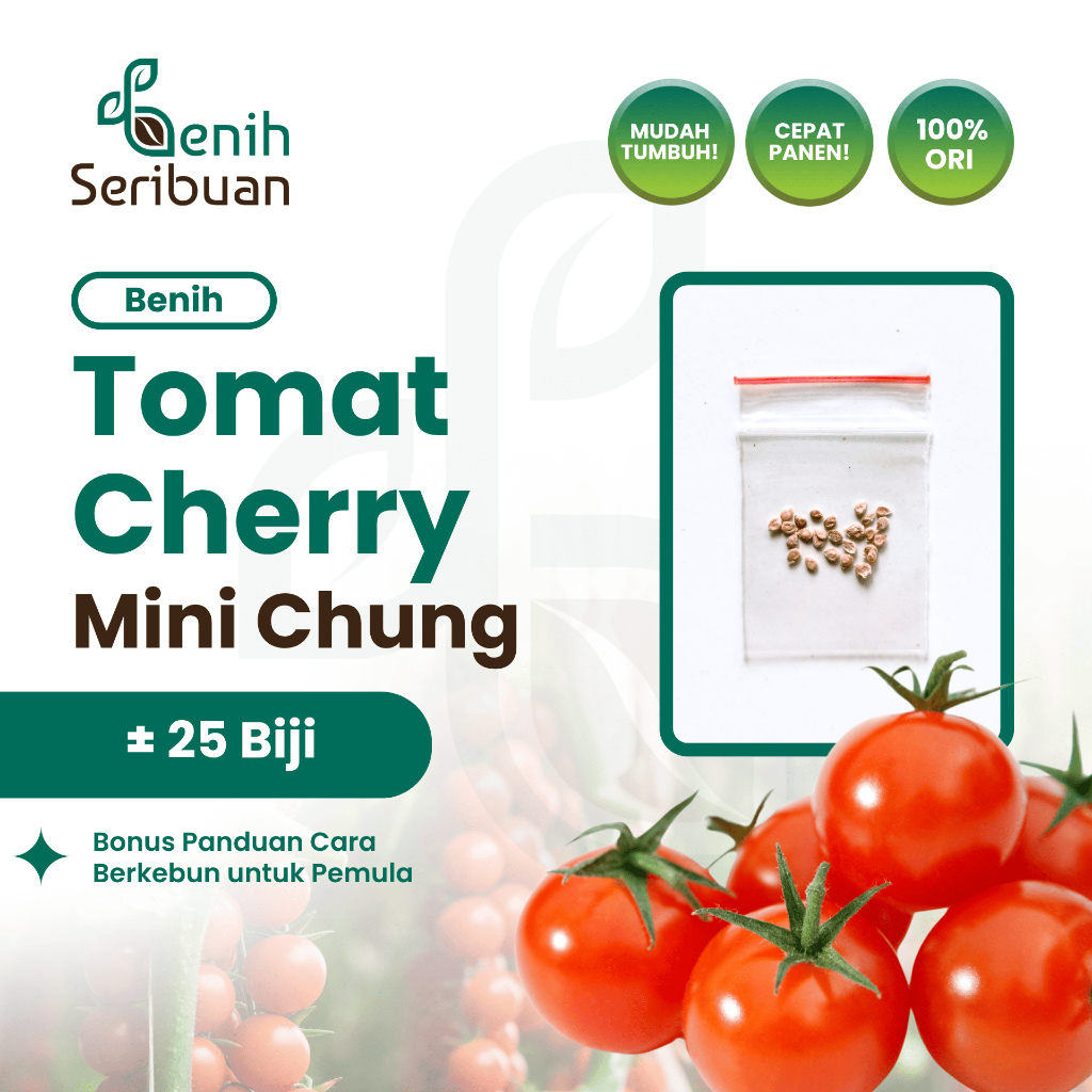 25 Bibit Tomat Cherry Merah Mini Chung Benih Sayuran Rampai Chery Tanaman Sayur Hias Ceri Buah Cerry