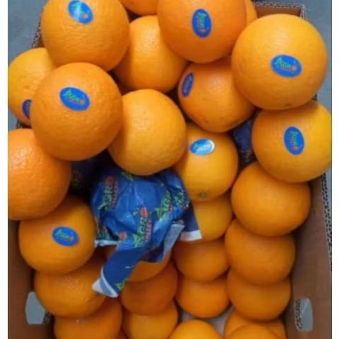 

Jeruk Sunkis 500gr/1kg