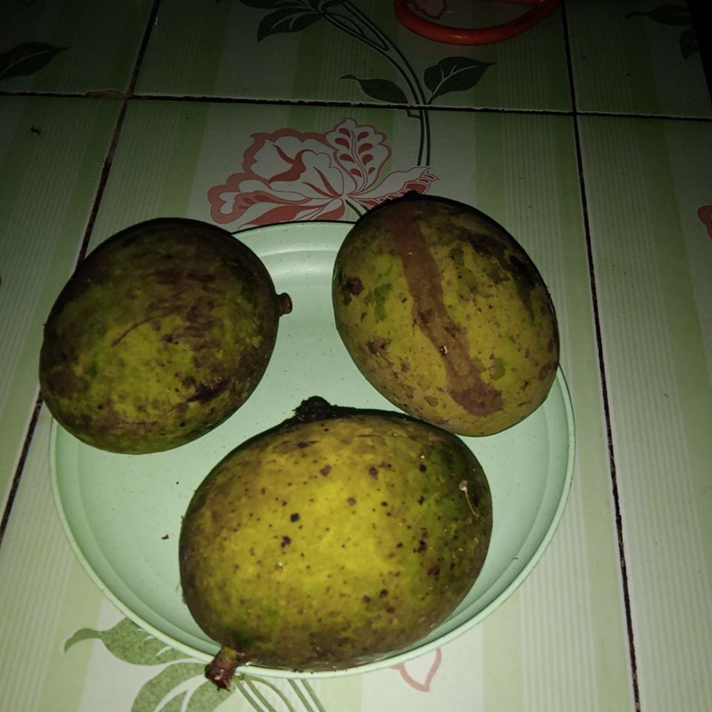 

buah limus/pakel segar 1 kg