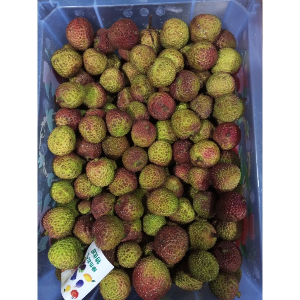 

Leci Madu