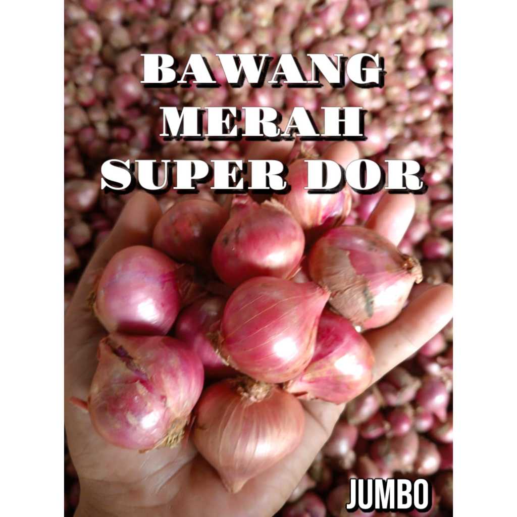 

Bawang Merah Super Dor Promo Termurah Jumbo