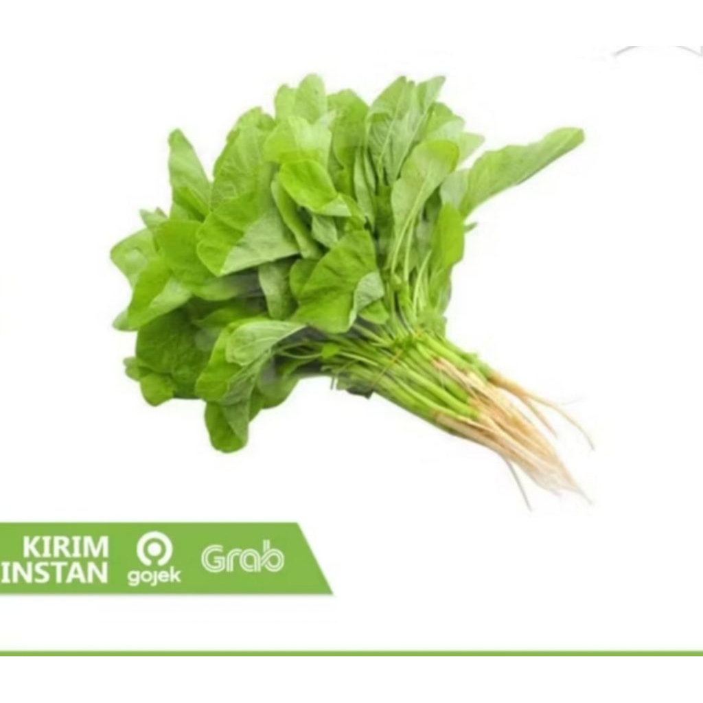 

sayur bayam cabut 1 ikat